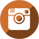 Follow BWS on Instagram